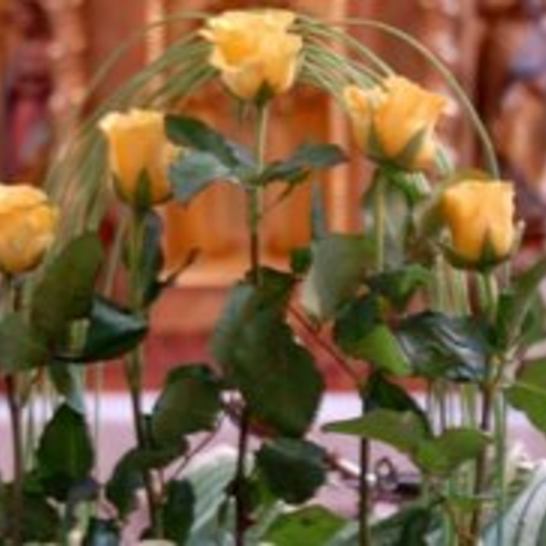 Blumenschmuck