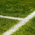 Fußballrasen / © ThorstenF / www.pixabay.com CC0 1.0 Fußballrasen